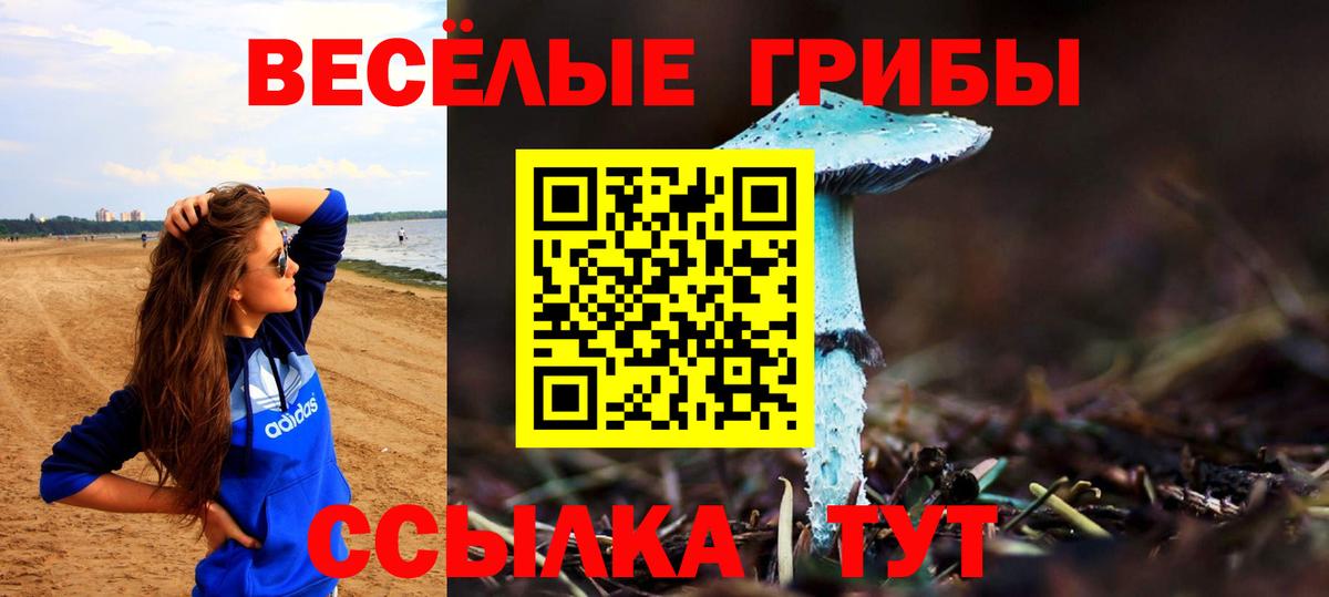 НБОМе  КОКАИН  Вход с VPN  ГАШ  Гашиш  Осинники  Мефедрон кристаллы  Марихуана 